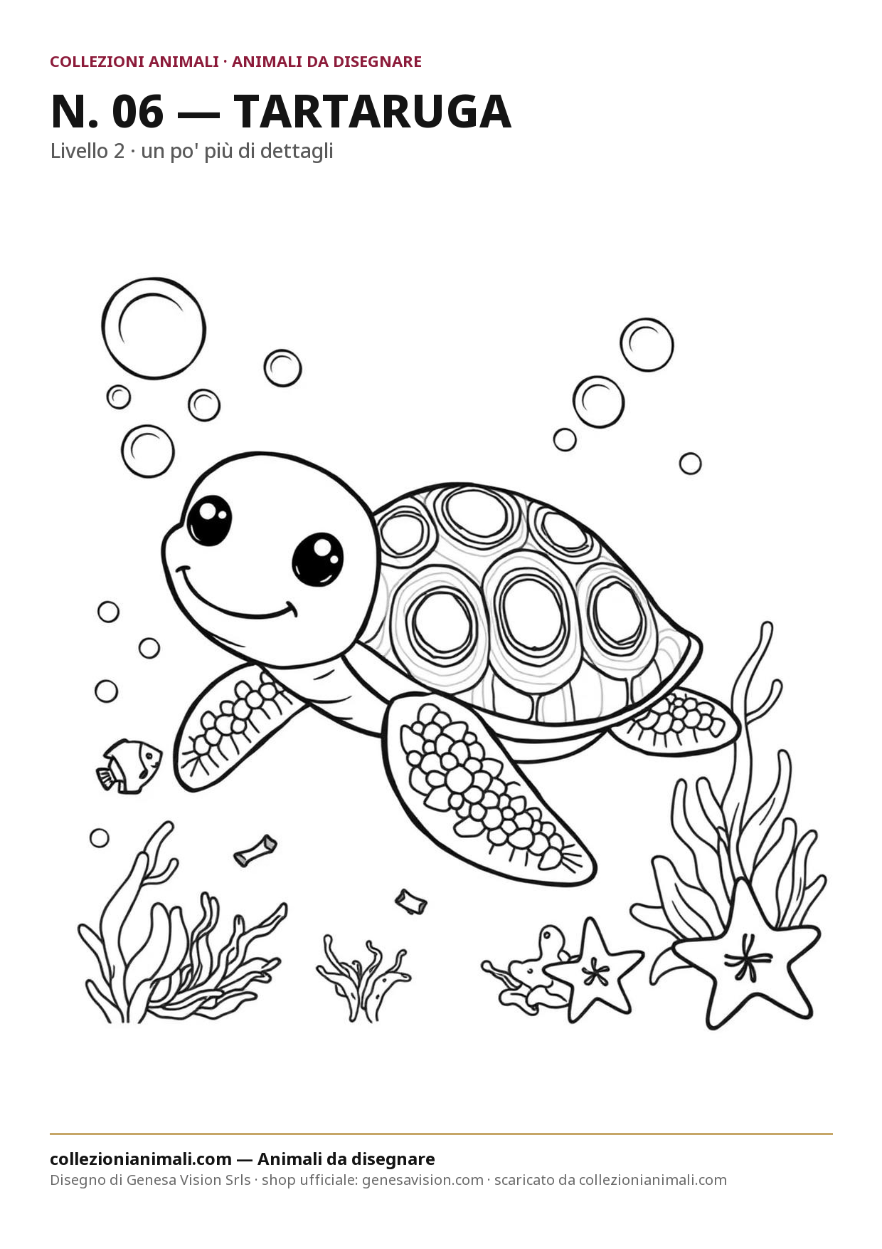 Disegno da colorare in formato A4: Tartaruga da colorare — livello 2